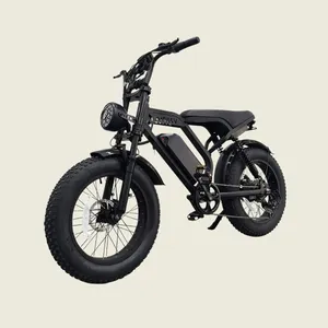 Tulum E-bike 1500w