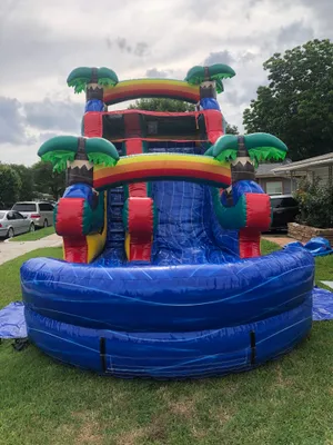 #3 Blue Paradise Water Slide Inflated Pool(WET/DRY)