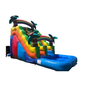 #4  16ft-Tropical Water Slide Inflated Pool(WET/DRY)