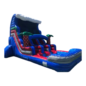#5 16ft-Wave Dual Water Slide Inflated Pool(WET/DRY)