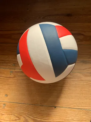 Volleyball
