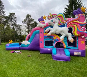 Unicorn Bounce House Combo 