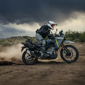 CF Moto IBEX 450