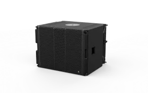 Adamson CS119 Sub