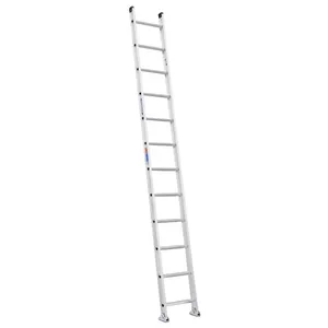 12' Ladder