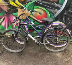 Adult bike