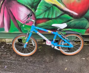 Child's Bike 18