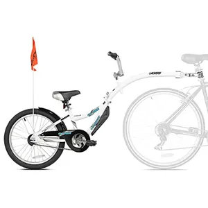Tag-along bike