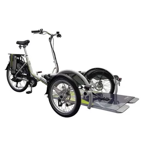 Wheelchair accessible bike