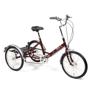 Pashley Trike 17