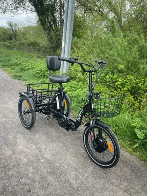 Jorvik E-trike