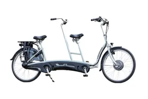Rear steer adaptive tandem (Van Raam)