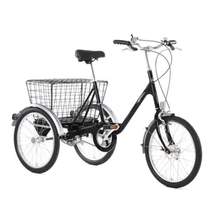 Pashley Trike 15