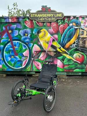 Recumbent Ice Trike