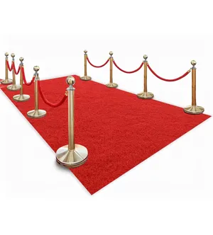 Thick Red Carpet Runner for Party - 3 x 10ft Non-Slip Backing Aisle Runway Rug for Party
