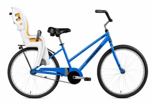 Adult Bike w/ Baby Seat