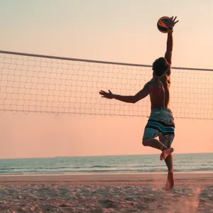 Volleyball Net