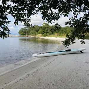 Paddle Board
