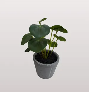 tiny/small desk plant in gray pot