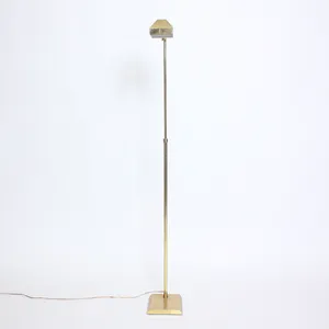 Golden Brass Floor Lamp 