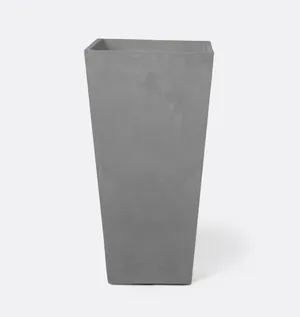 Tall/Large (30