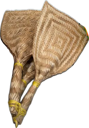 Hand Woven Palm Leaf Fan