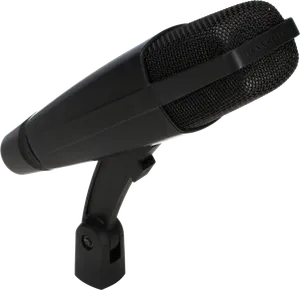 Sennheiser MD421.