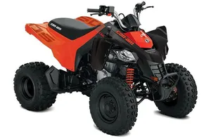 DSX 250 — CAN-AM DS