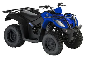 DMX 150 — KAWASAKI BADGER