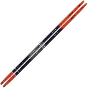 Nordic Skate Ski