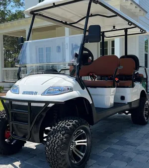 AEV EV1 6L 6 Seat LSV