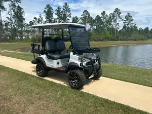 Vcart Cruiser 4 Seat LSV