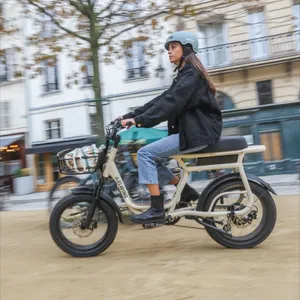 Family ebike