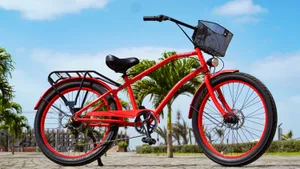 NORMAL BIKE CRUISER