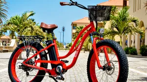 EBIKE