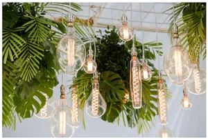 Edison Bulbs
