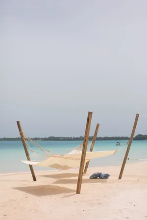 Canvas Hammock 