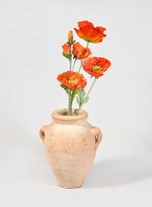 Tunisian Planter