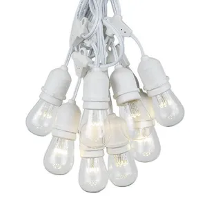 Festoon Lights White