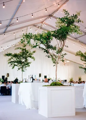 White Planters