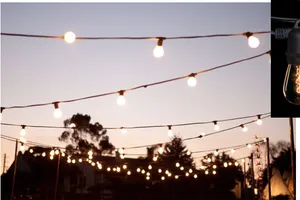 Festoon Lighting Black