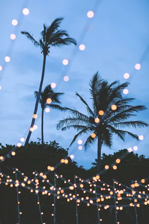 Fairy Lighting