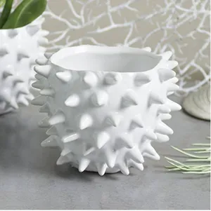 Sea Urchin Vase