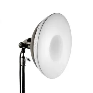 BEAUTY DISH SILVER
