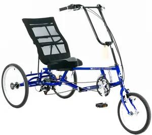 Three-Wheel Recumbent Electric Bike Rental