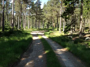 Guiding - Full Day