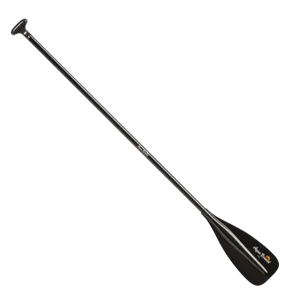 Paddle Rental