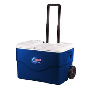 Beach Cooler