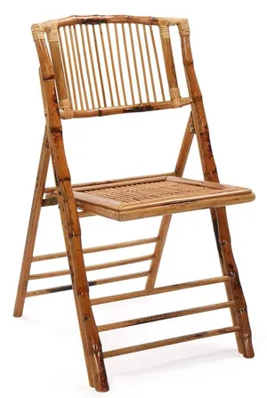 Hampton Tortoise Shell Chair