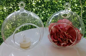 Glass Ball Vase with hole (hanging or shelf) SMALL 12cm